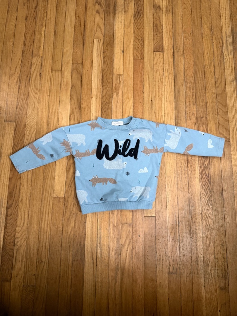 Kit & pearl 24M Wild Blue Sweatshirt with Animal Prints